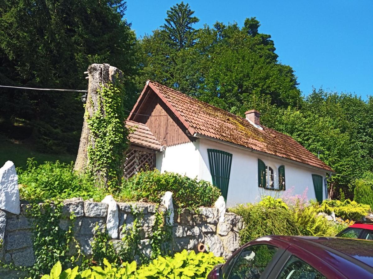 Domek Sosnowka Exteriér fotografie